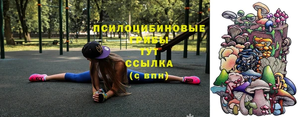 гидропоника Белоозёрский