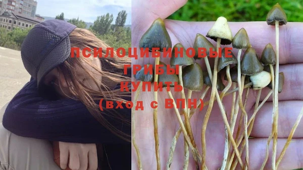 бошки Баксан