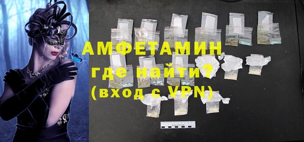 прущие грибы Беломорск