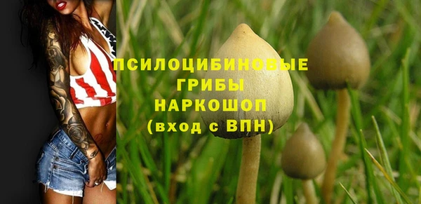 бошки Баксан